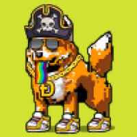 DogePunks #737