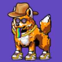 DogePunks #2132