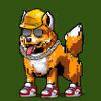 DogePunks #634