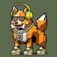 DogePunks #982