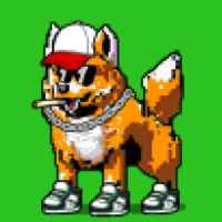 DogePunks #4974