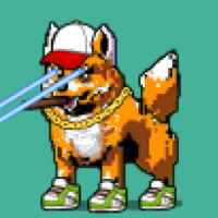 DogePunks #2496