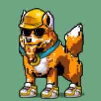 DogePunks #2381