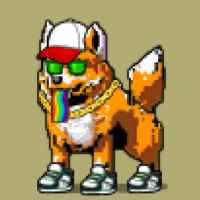 DogePunks #4167
