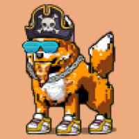DogePunks #451