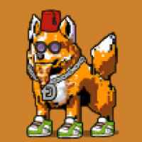 DogePunks #2229