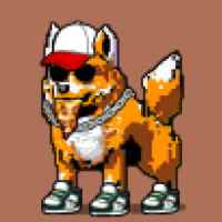 DogePunks #2905