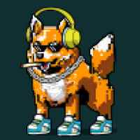 DogePunks #2838