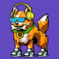 DogePunks #239