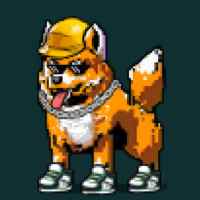 DogePunks #2738