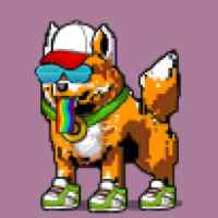 DogePunks #2346