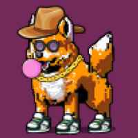 DogePunks #776