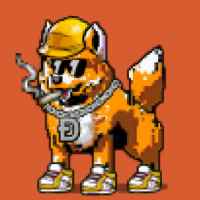 DogePunks #684