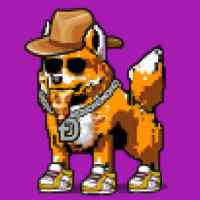 DogePunks #216