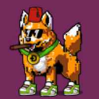 DogePunks #404