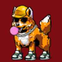 DogePunks #4752