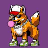 DogePunks #1198