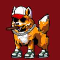 DogePunks #2538