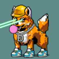 DogePunks #4080
