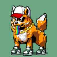DogePunks #1728