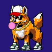 DogePunks #777