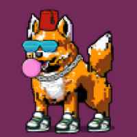 DogePunks #1495