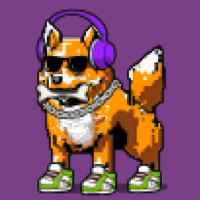 DogePunks #2357