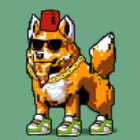 DogePunks #2443