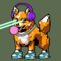 DogePunks #3976
