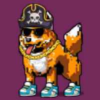 DogePunks #4028