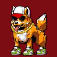 DogePunks #1885