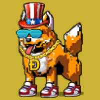 DogePunks #41