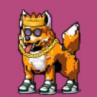 DogePunks #1568