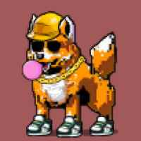 DogePunks #2994