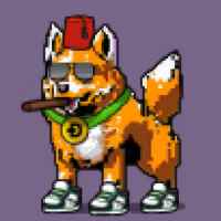 DogePunks #731