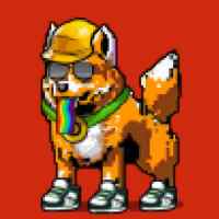DogePunks #162